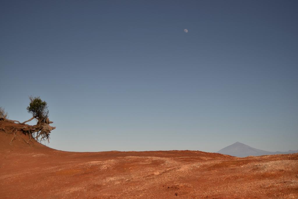 Casa Rural Las Rosas Agulo المظهر الخارجي الصورة