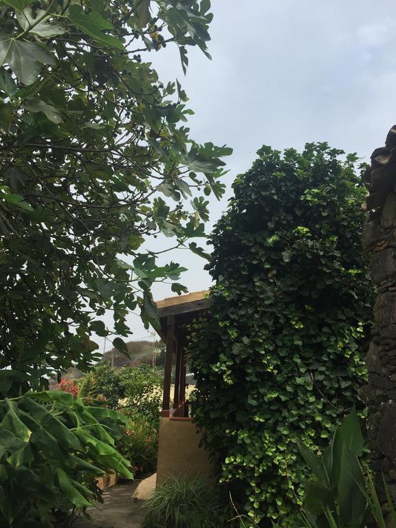 Casa Rural Las Rosas Agulo المظهر الخارجي الصورة