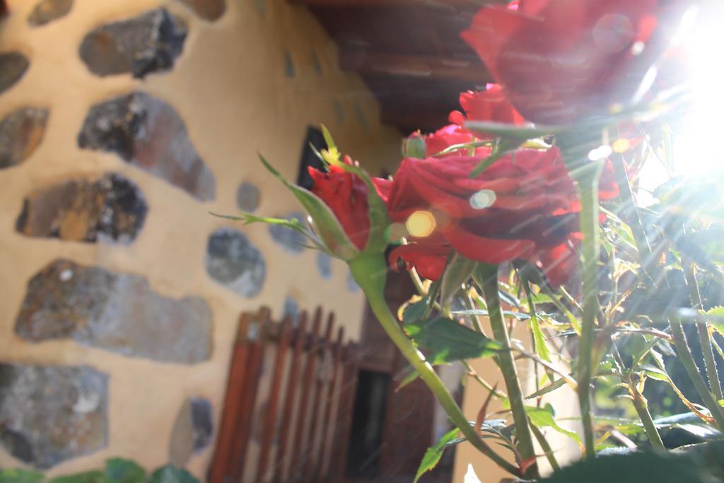 Casa Rural Las Rosas Agulo المظهر الخارجي الصورة